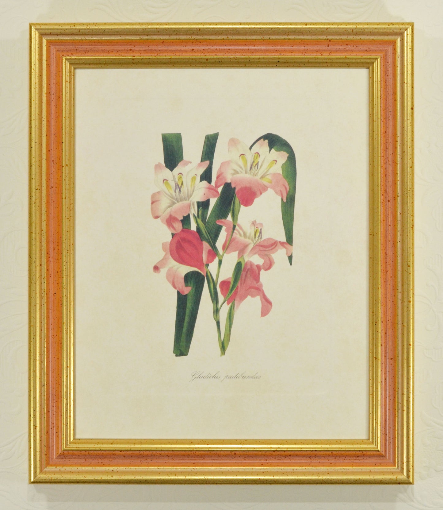 Colorful Stylish Picture Wood Frames. Width 1.2" x Height 1.2".